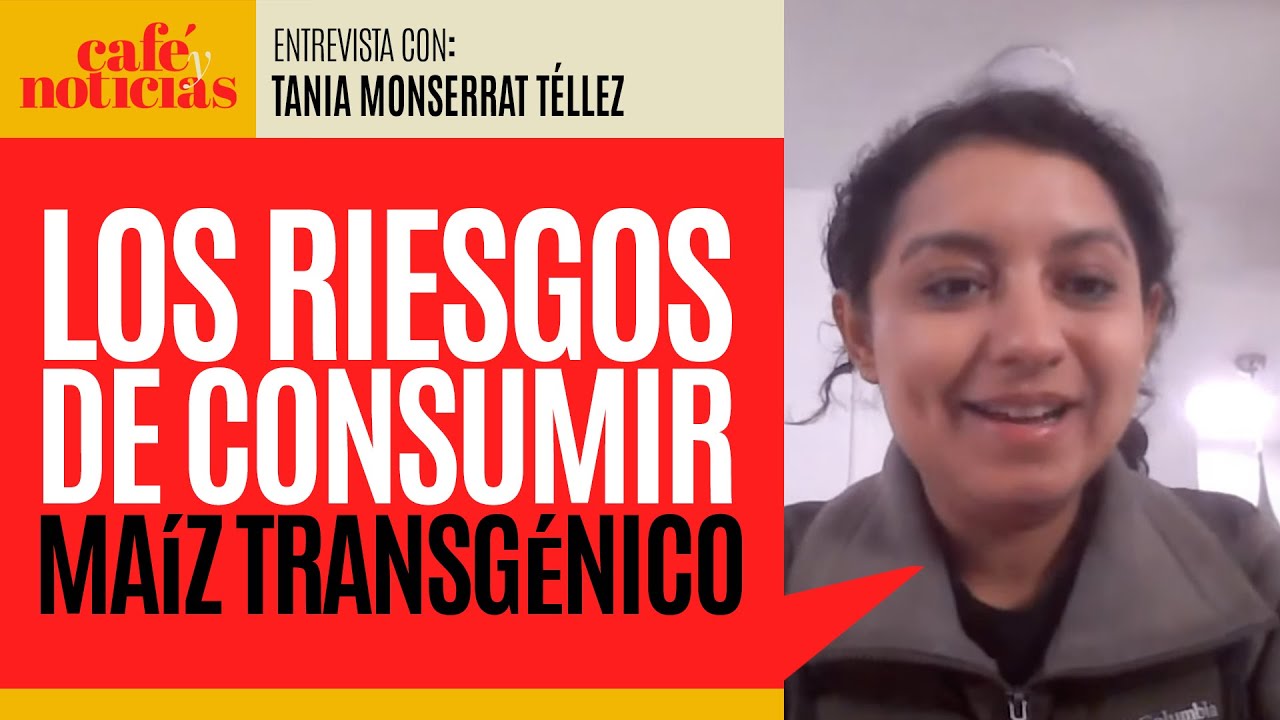 #Entrevista ¬ El maíz transgénico es un negocio para un pequeño grupo de transnacionales: activista