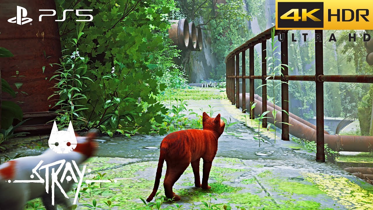 Stray (PS5) HDR 4K/60FPS | Cat in Post-Apocalyptic Cyberpunk City