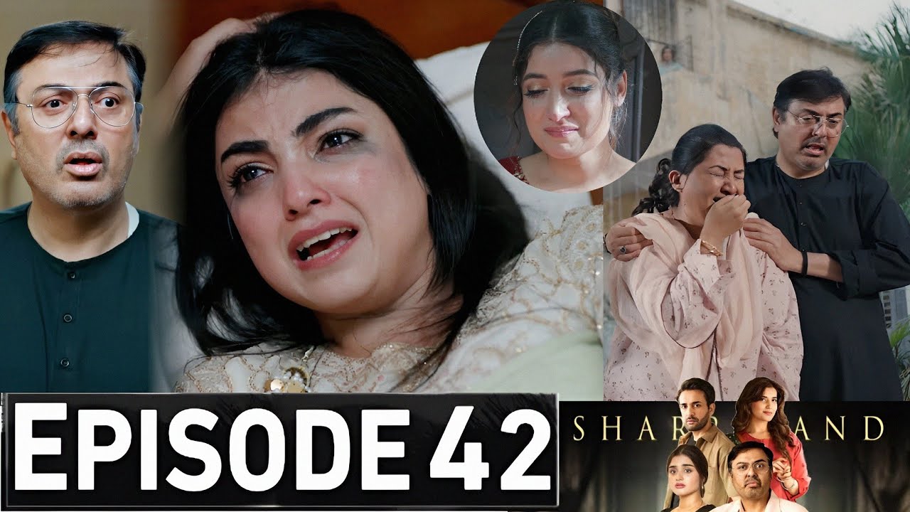 Sharpasand Episode 42 Promo | Sharpasand Drama Episode 42 Teaser | Sharpasand Episode 43 Review 