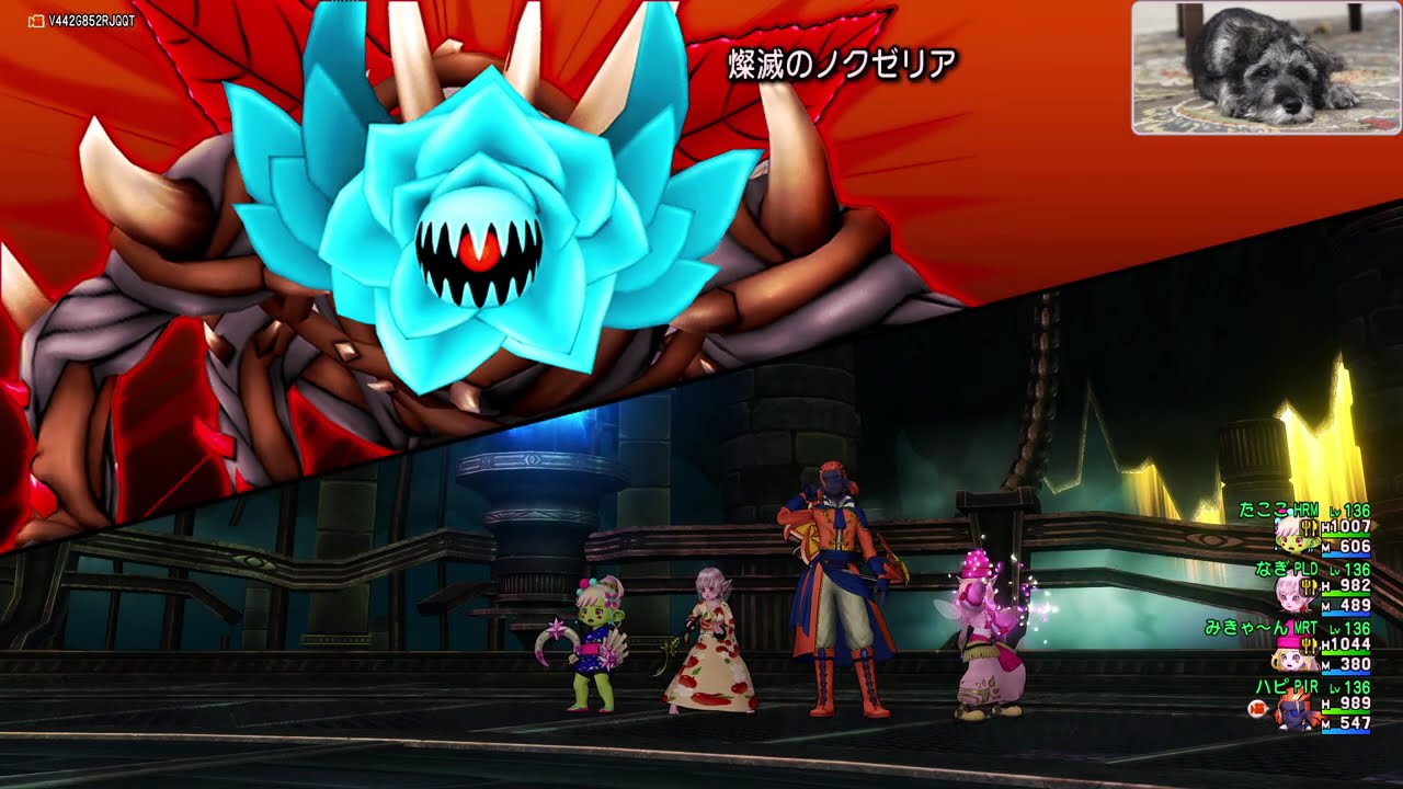 【DQX / ドラクエ10】 Noxeria 2 Clear - Pirate