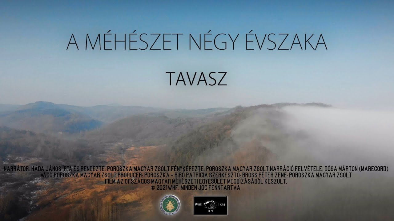 A méhészet négy évszaka TAVASZ