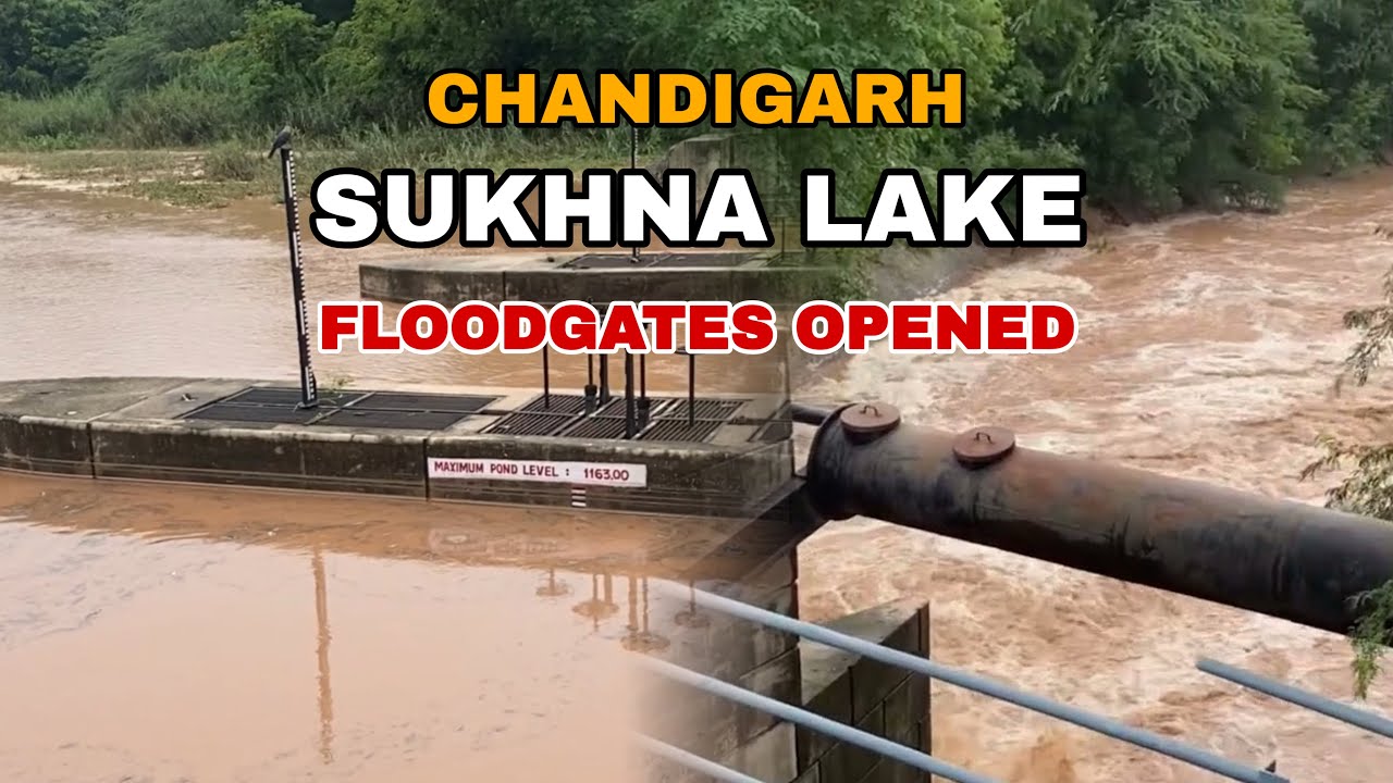 Chandigarh's Sukhna Lake FloodGates opened after Heavy Rain | Water level of Sukhna Lake Rises