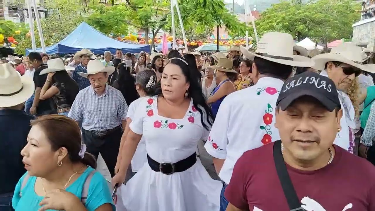 esto se puso bueno, domingos de huapango en Xilitla