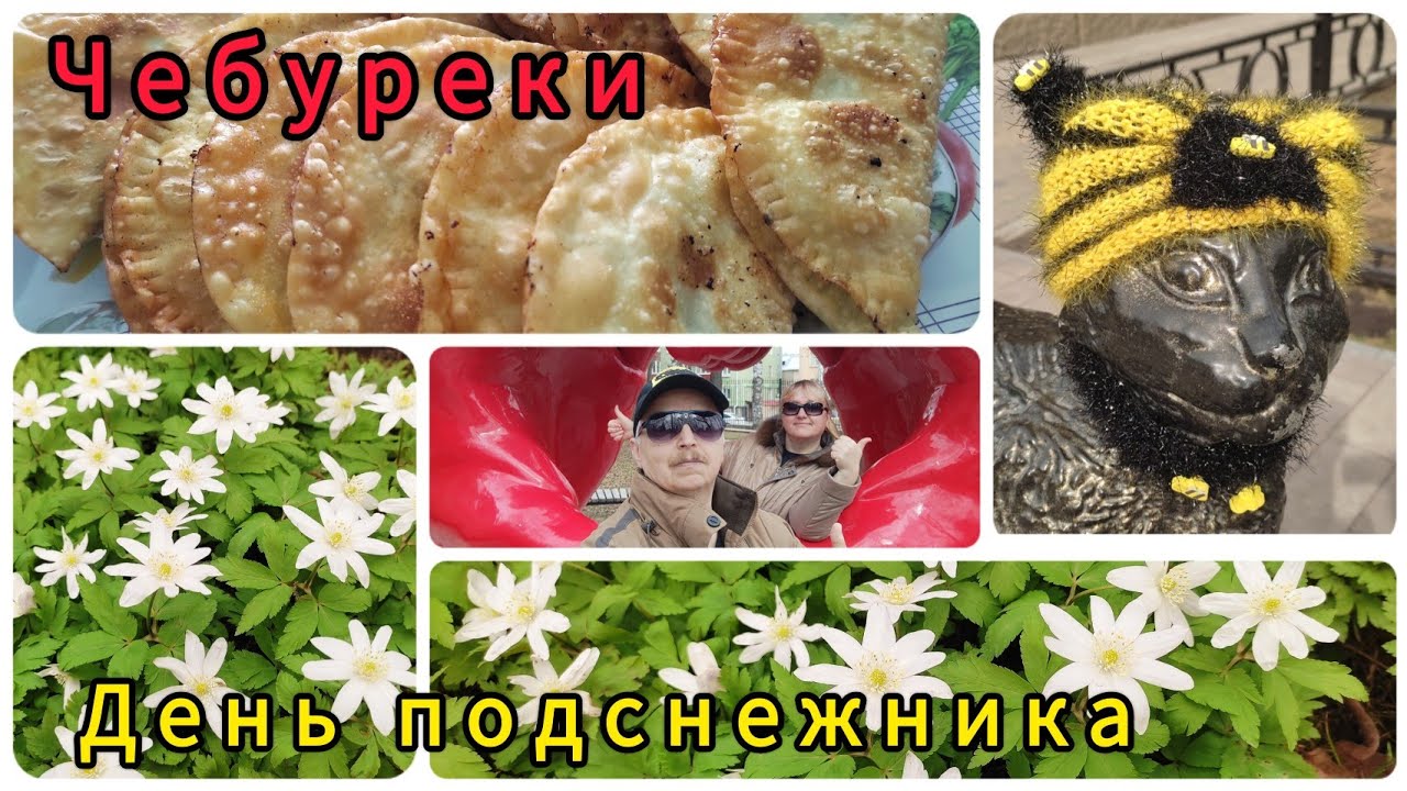 День подснежника// Готовим эконом-чебуреки