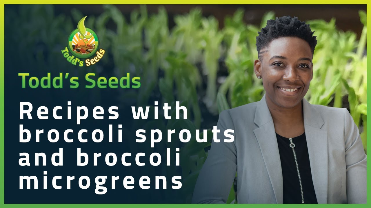Recipes with Broccoli Sprouts and Broccoli Microgreens