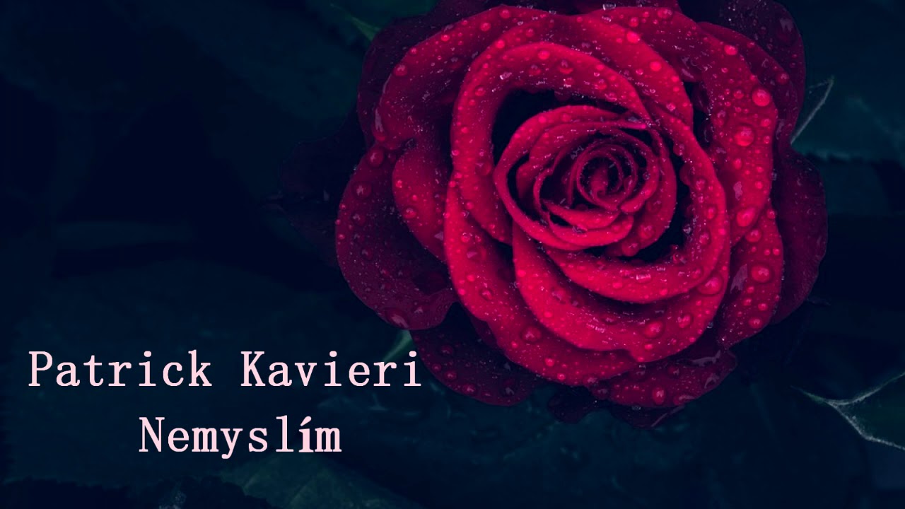 Patrick Kavieri-Nemysl&iacute;m