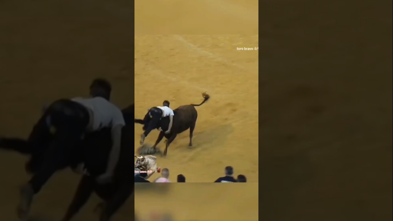 Bull's Attack😱  || Part 5   #bull #viralvideo #shortsvideo #horrorshorts #viralshort #trending
