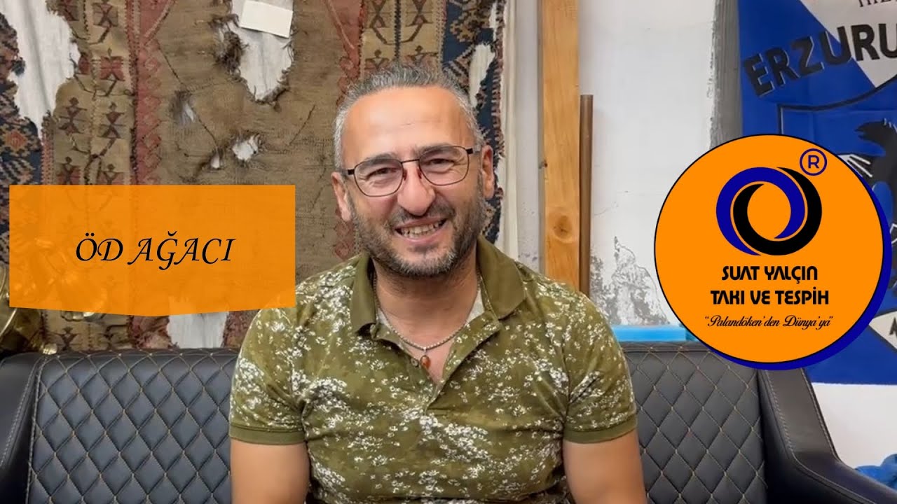 Öd Ağacının Özellikleri