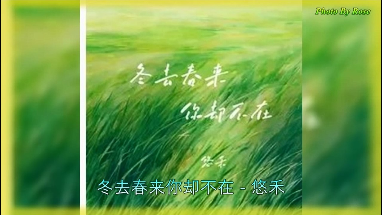 【冬去春来你却不在】演唱：悠禾