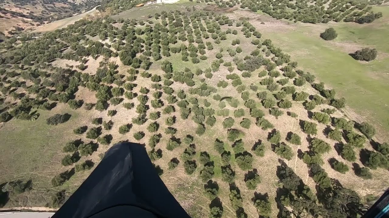 Paragliding Algodonales 30.12.22 - Montellano, short flight with landing assistance