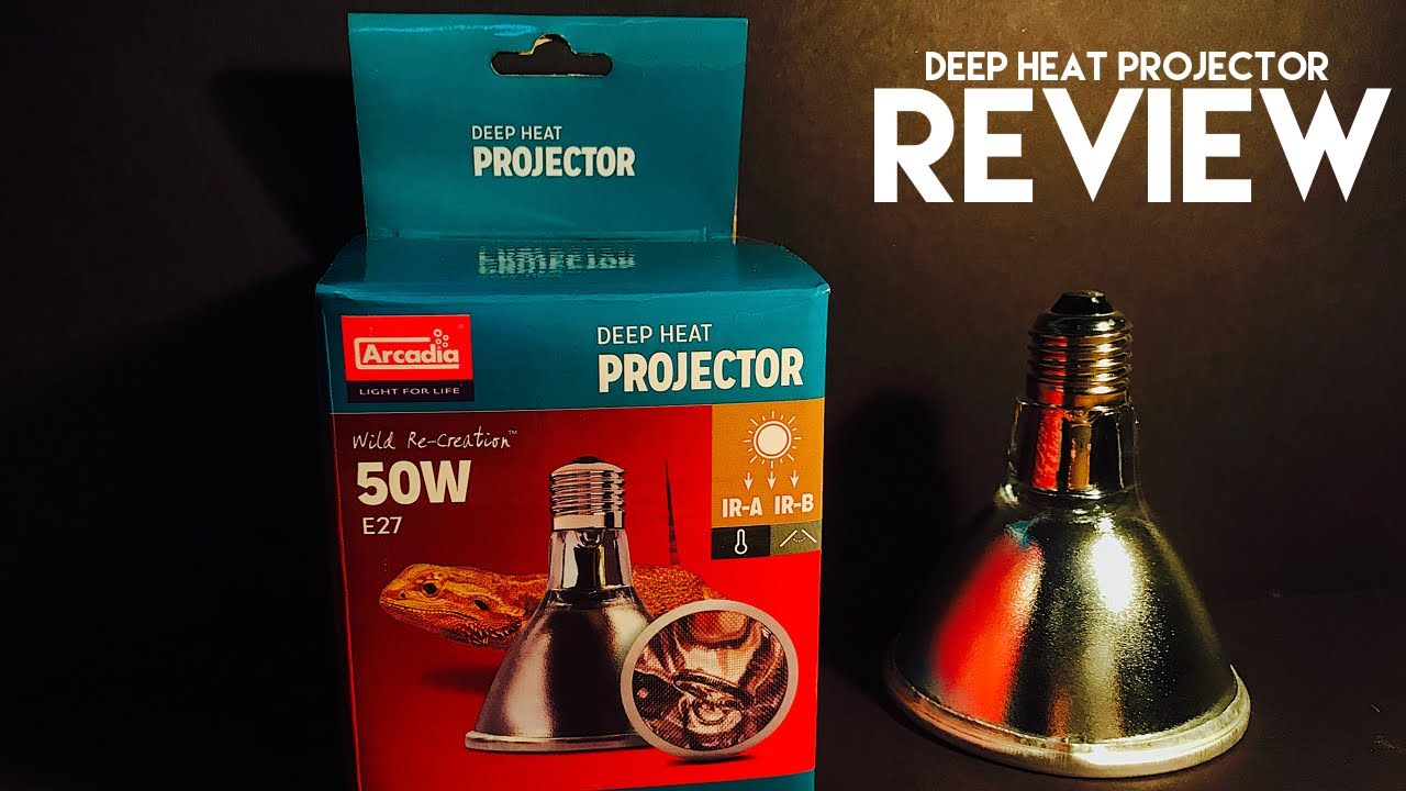 THE FUTURE OF REPTILE KEEPING! Arcadia Deep heat projector review
