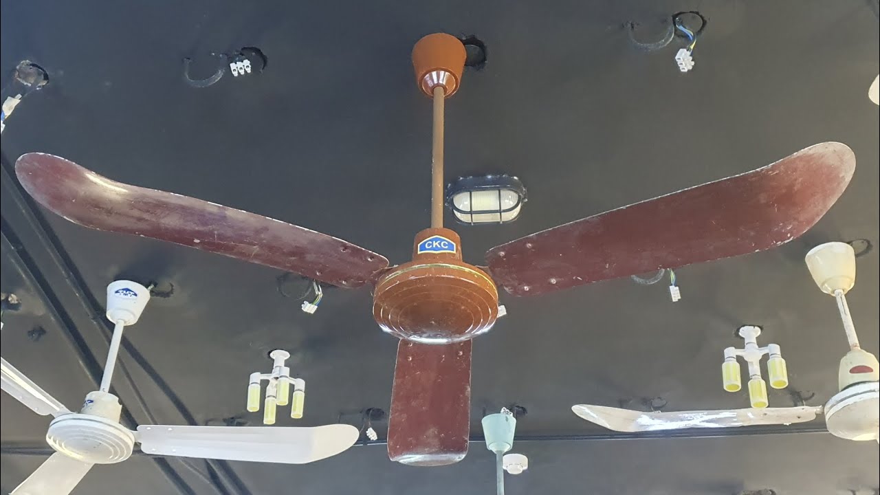 Brown CKC Ceiling Fan CK-5601 with curved blades
