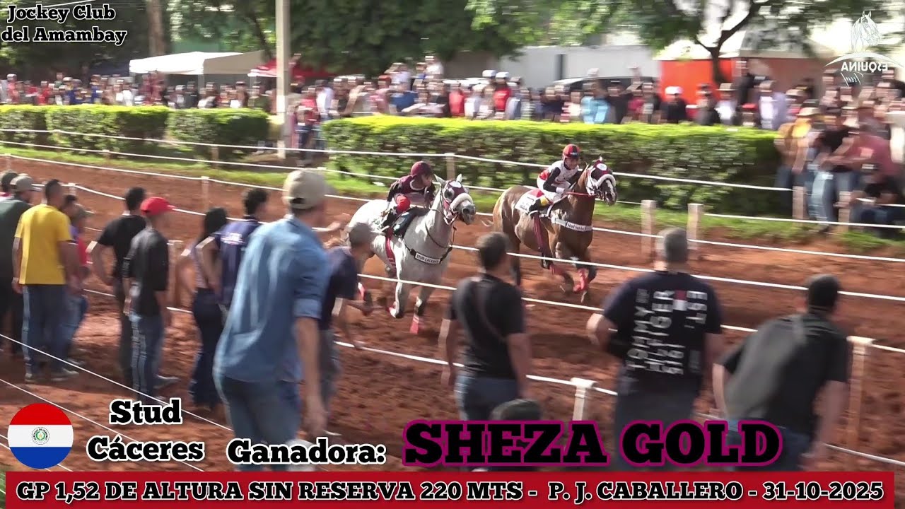 SHEZA GOLD (P. J. Caballero) Jockey Club del Amambay - P. J. Caballero - 31-10-2025