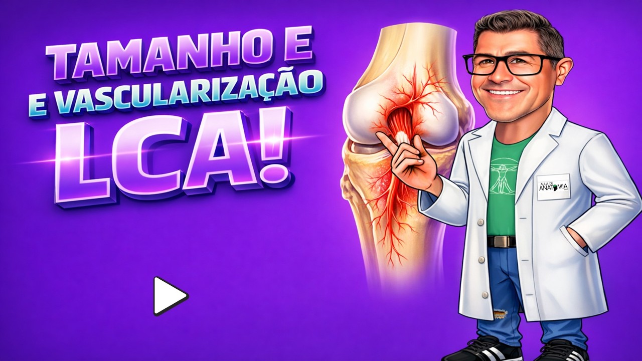ANATOMIA DO LCA - Tamanho e Vascularização