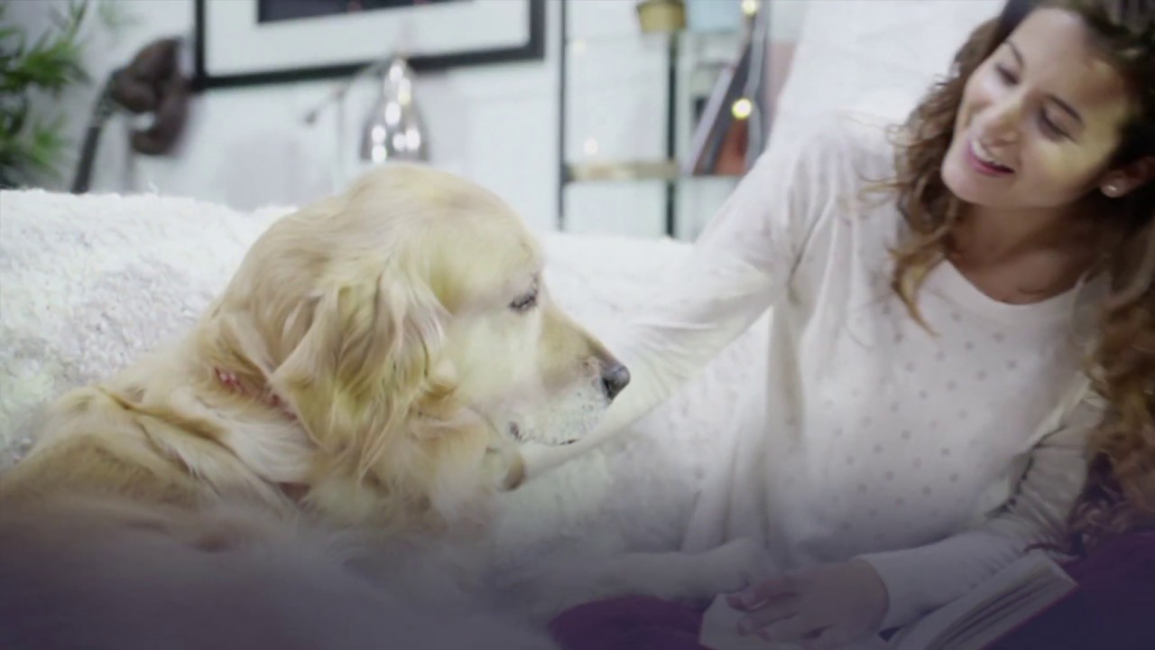 At PetTest, It's All About The Pets!