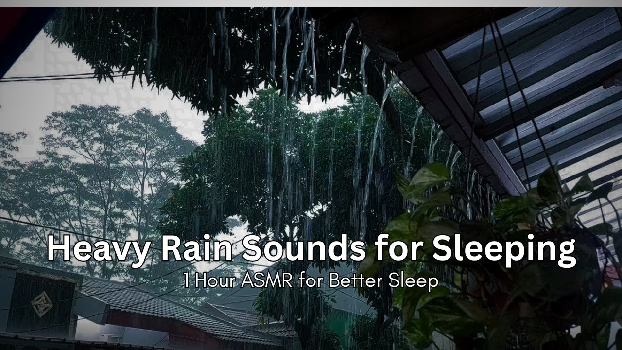 Heavy Rain Sounds for Sleeping 1 Hour ASMR