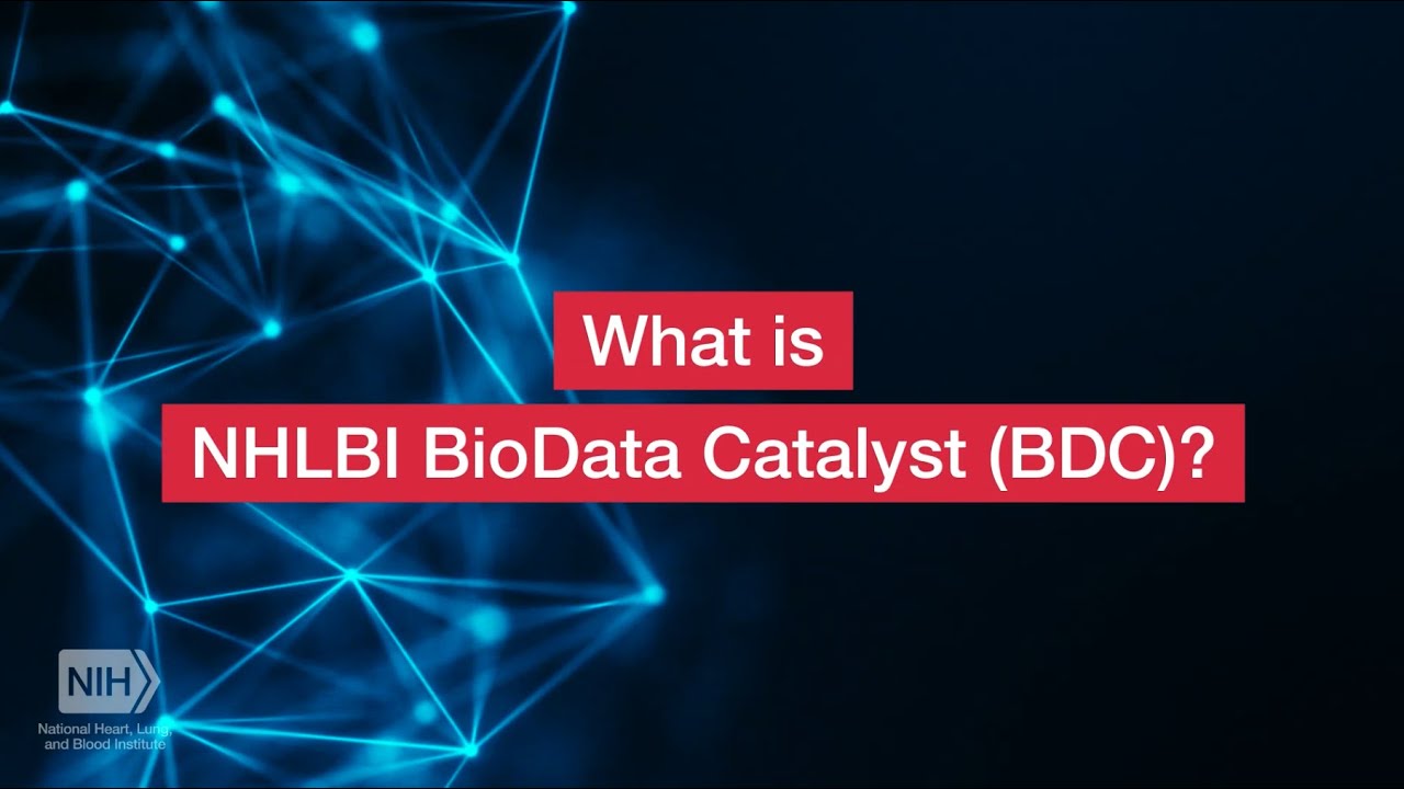What is BDC?