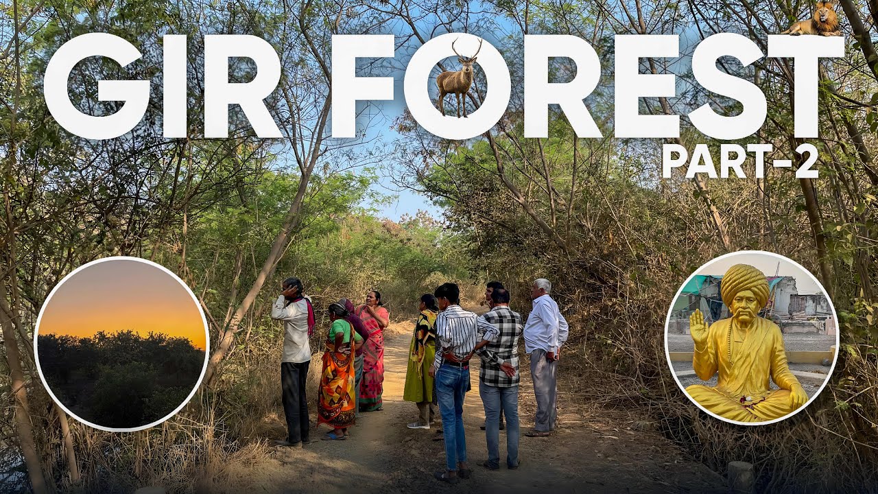 Gir Forest Part 2 🌳🦁| Family JungleExperience | Unexpected Moments!