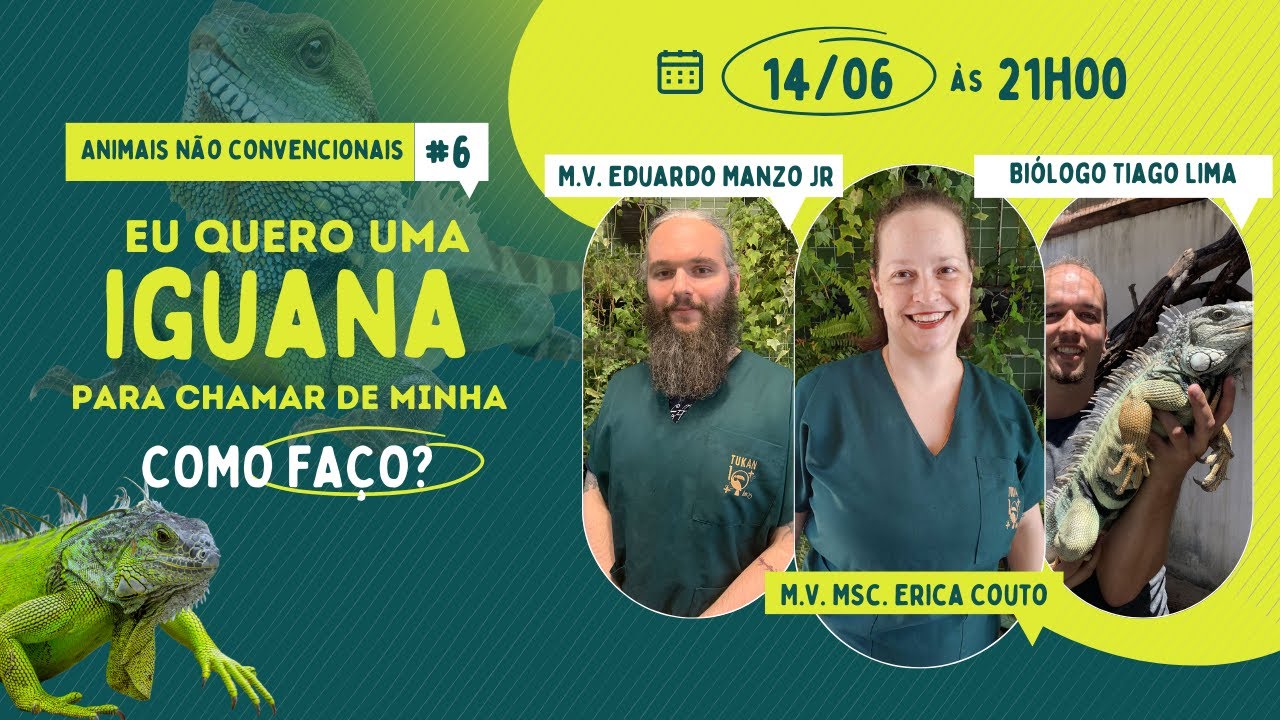 Iguana: Tudo Sobre Alimentação, Terrário e Cuidados Médicos Veterinários