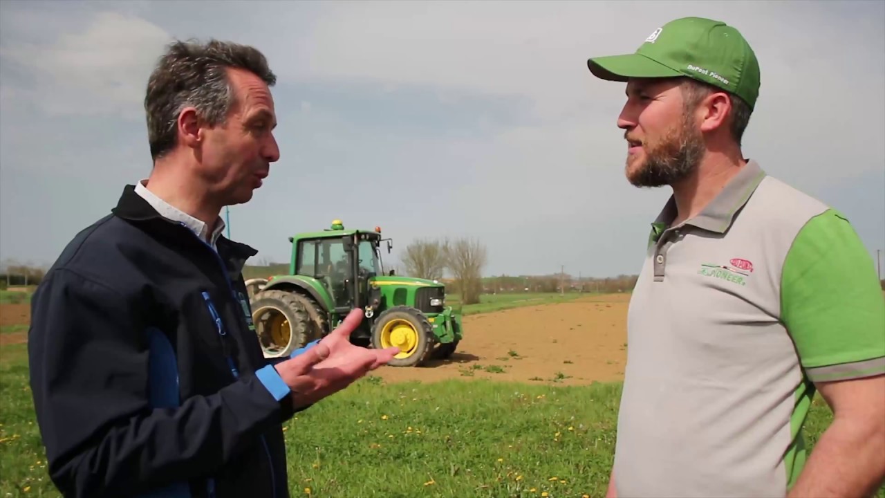 Am&eacute;liorer son revenu en diversifiant son assolement : ma&iuml;s Sem'Expert DRY