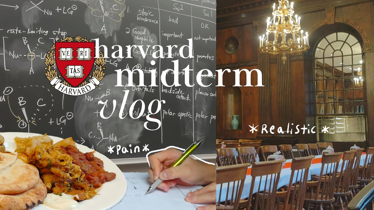 harvard midterm vlog 하버드 중간고사 브이로그 | why i've been away 🥲