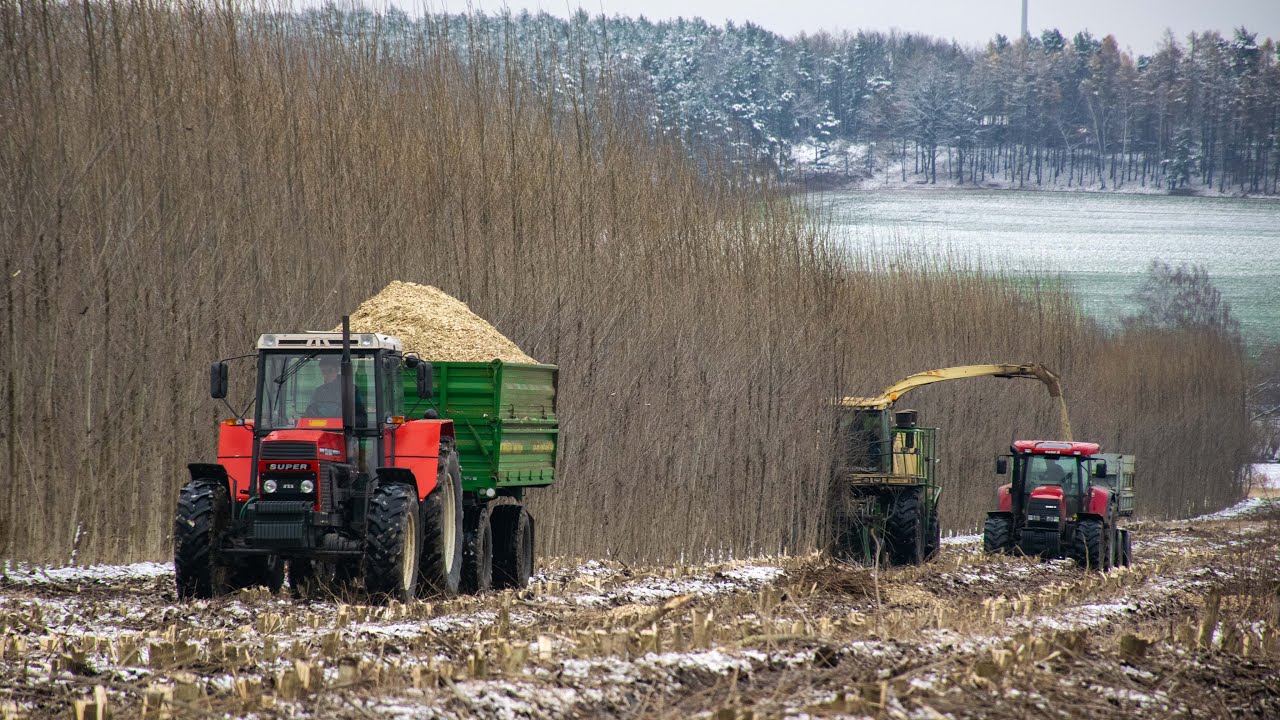 Poplar harvest/ Topoly 2018- Krone Big X 650, Zetor 16245, Case 160 CVX