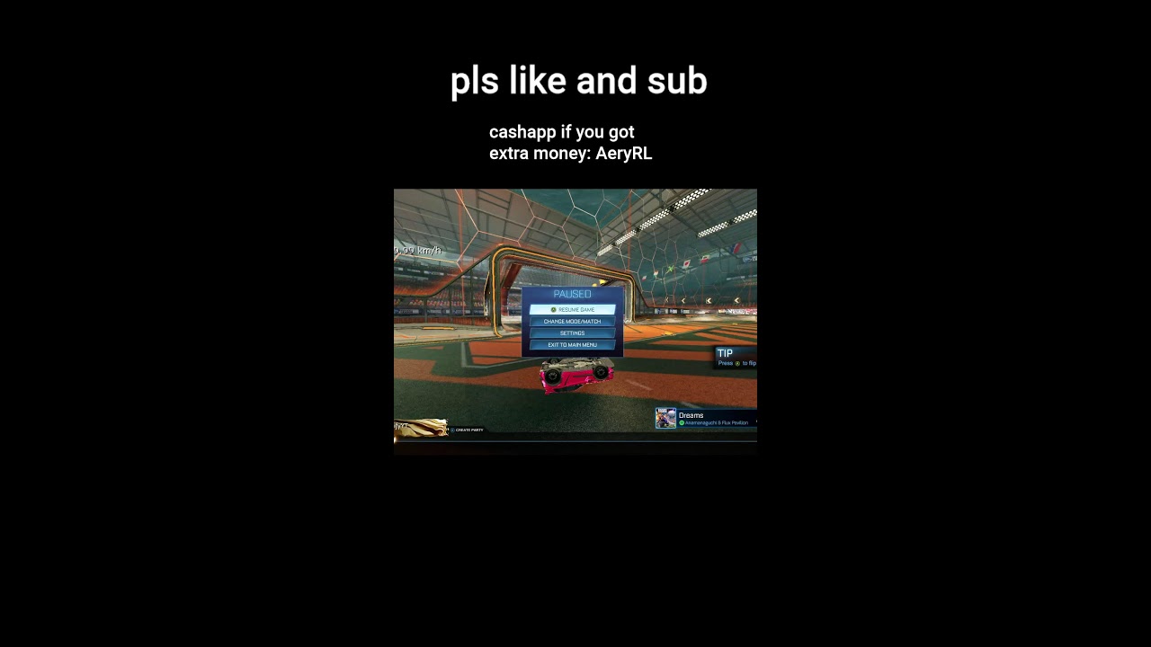 playing rl (Portrait)