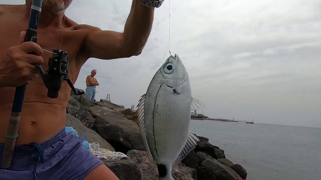 SPINNING CON IL PANE 