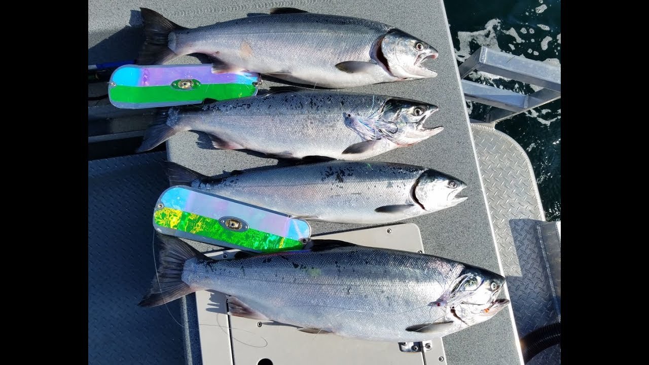 Coho Fishing Game Changer 