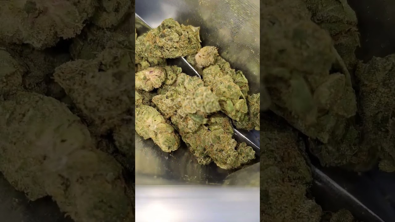 cookies - Blue Raz (Strain Review)