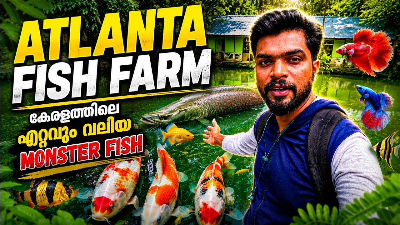 &ldquo;&ldquo;Monster Fish Farm in Kerala | Giant Arapaima, Alligator Gar & Arowana Collection 🐟🔥&rdquo;