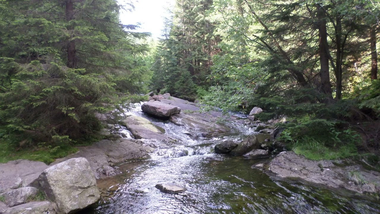 Karkonosze / Riesengebirge / Giant Mountains -  PL/CZ (3 Days in July/August 2021)