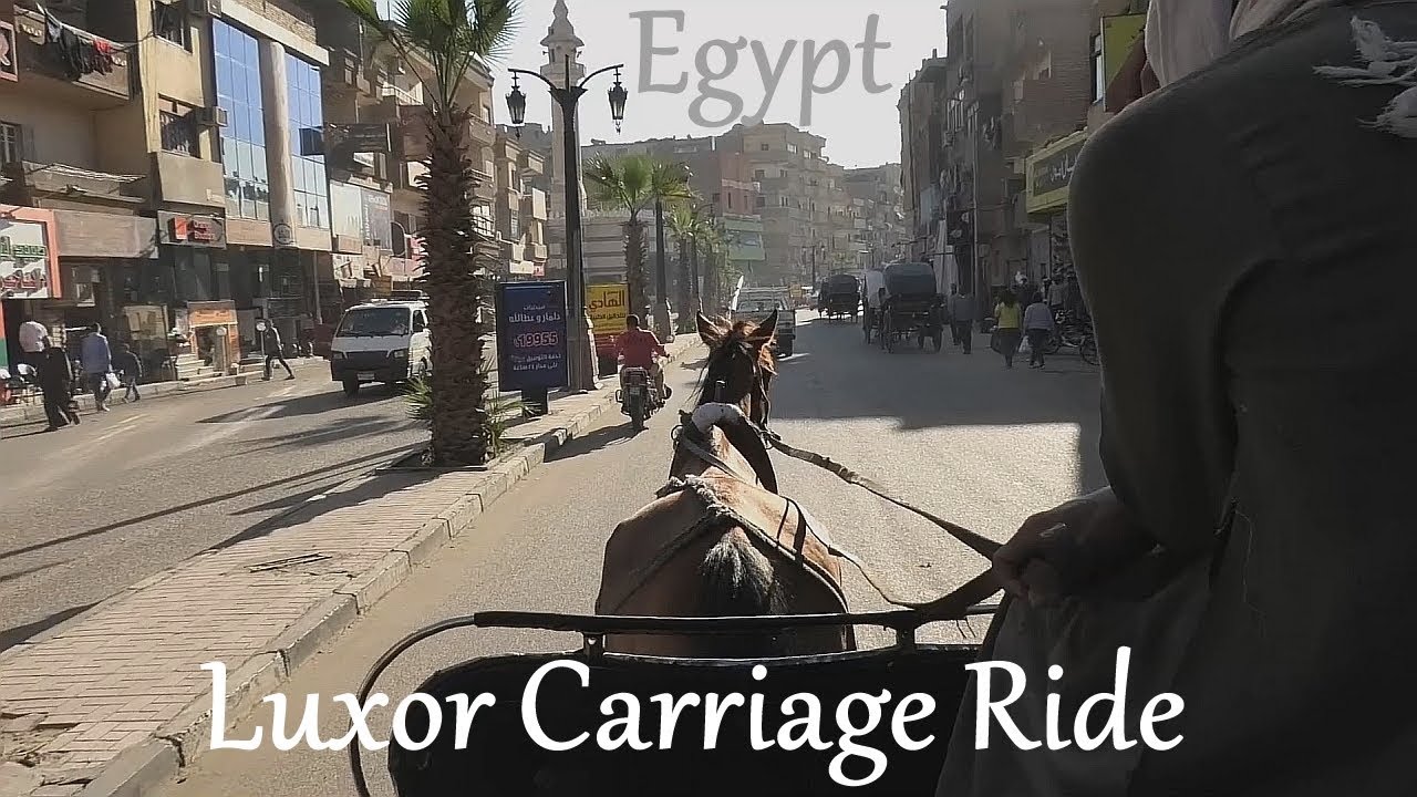 EGYPT: Luxor city, carriage ride