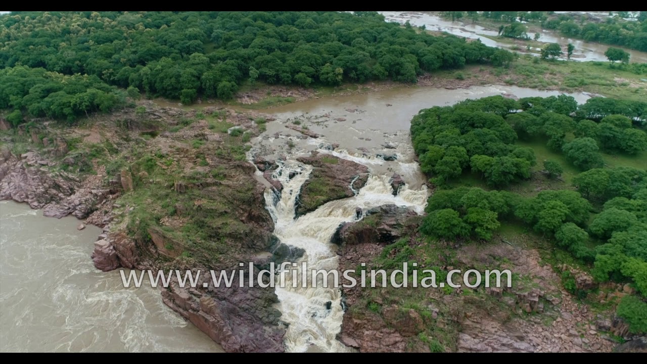 Fabulous falls of Madhya Pradesh: Raneh Falls in swollen monsoon glory