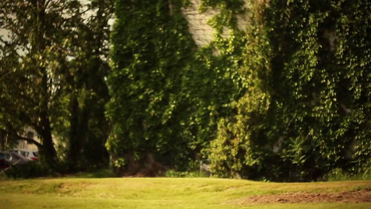 Hammock - The Backward Step (Unofficial Video)