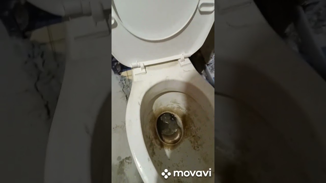 Удаляем каменный налет в унитазе. Быстро и лешего.#shorts