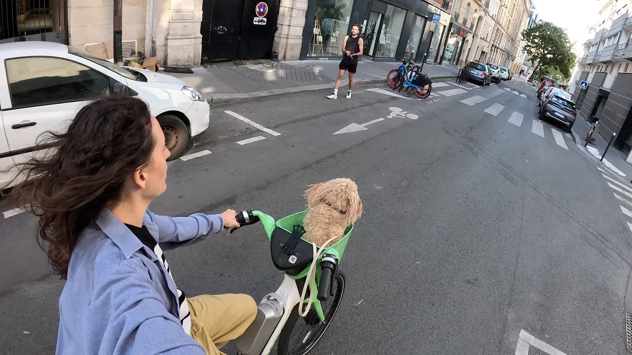 Let’s go to this café together (with my dog)