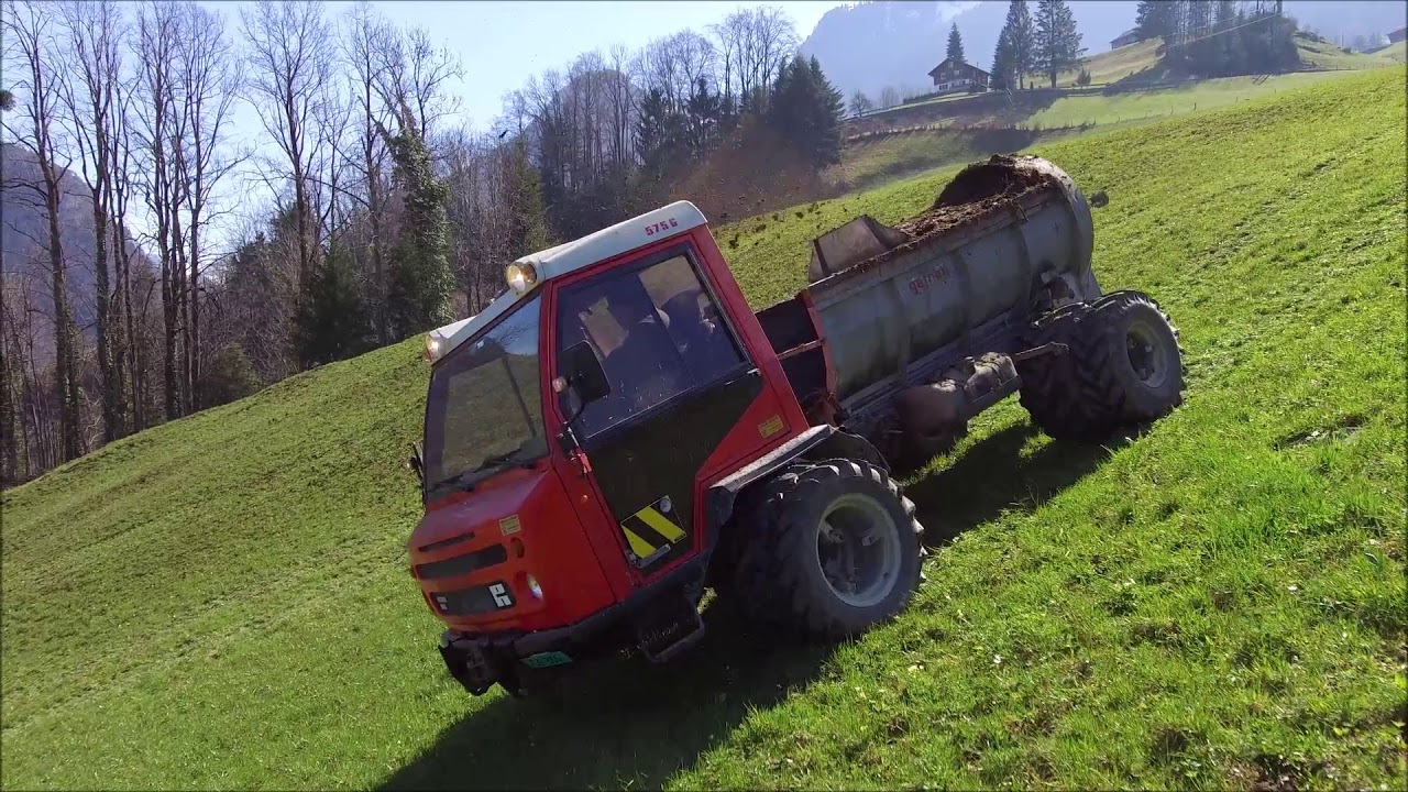 Reform Muli Frühling2019