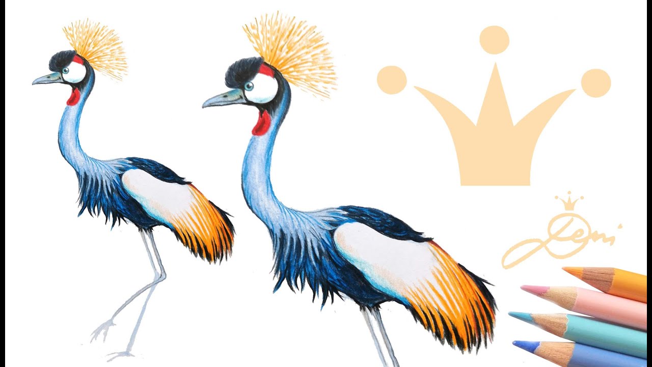 Kranich zeichnen lernen, Vogel realistisch schnell einfach malen, How to draw a realistic crane bird