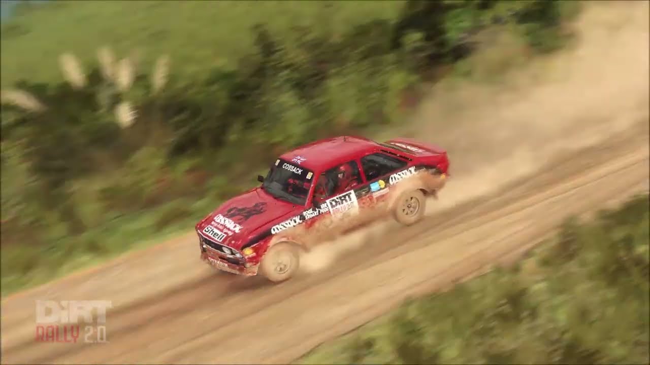 Dirt Rally 2 #2