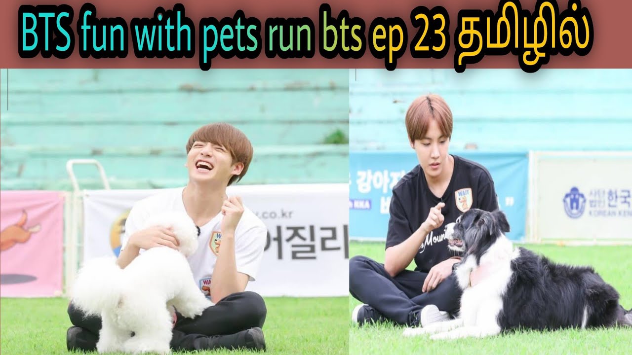 BTS semma fun with pets 😍😂 || run bts 23 Tamil dubbed || watch fully ||