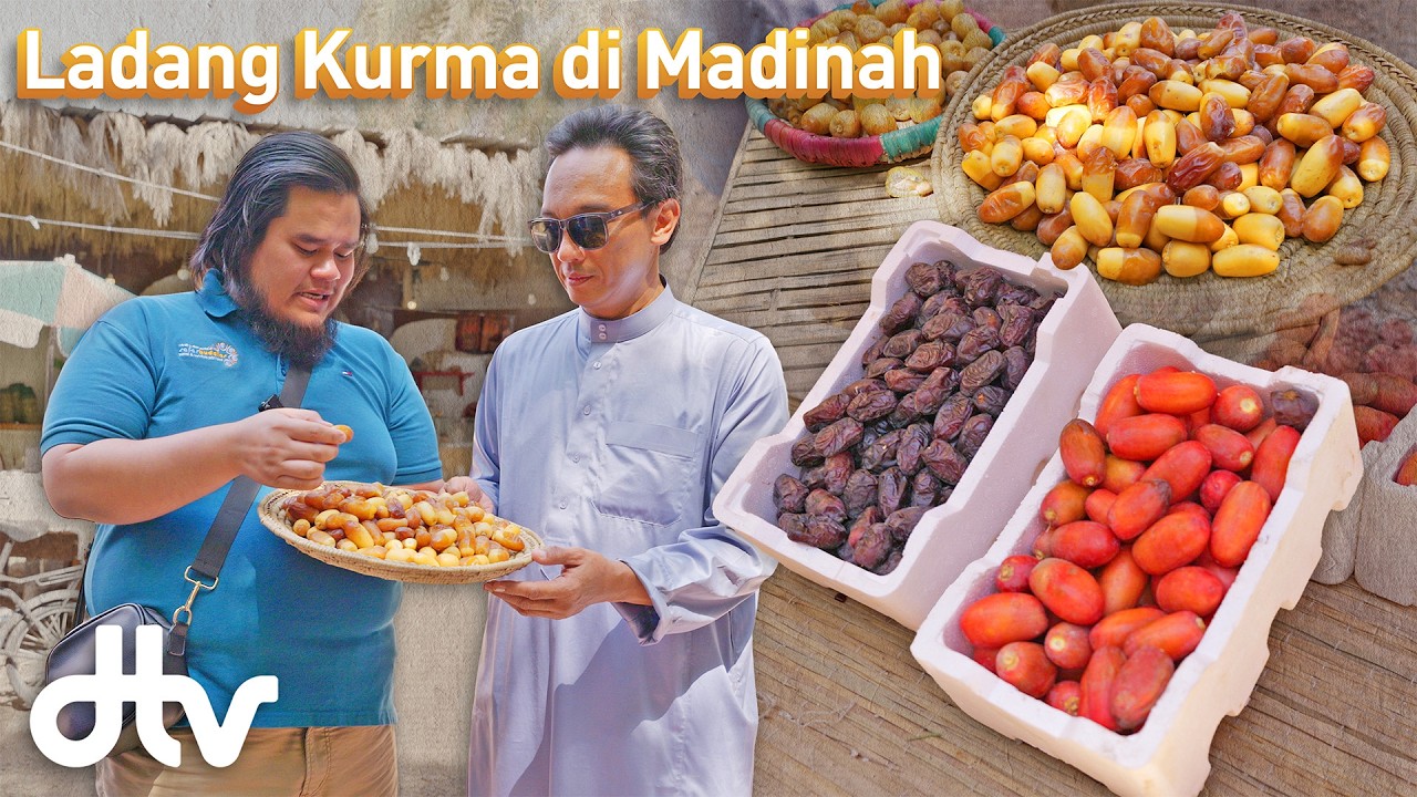 Jenis-Jenis Kurma di Ladang Milik Rasulullah | Destinasi Saudi