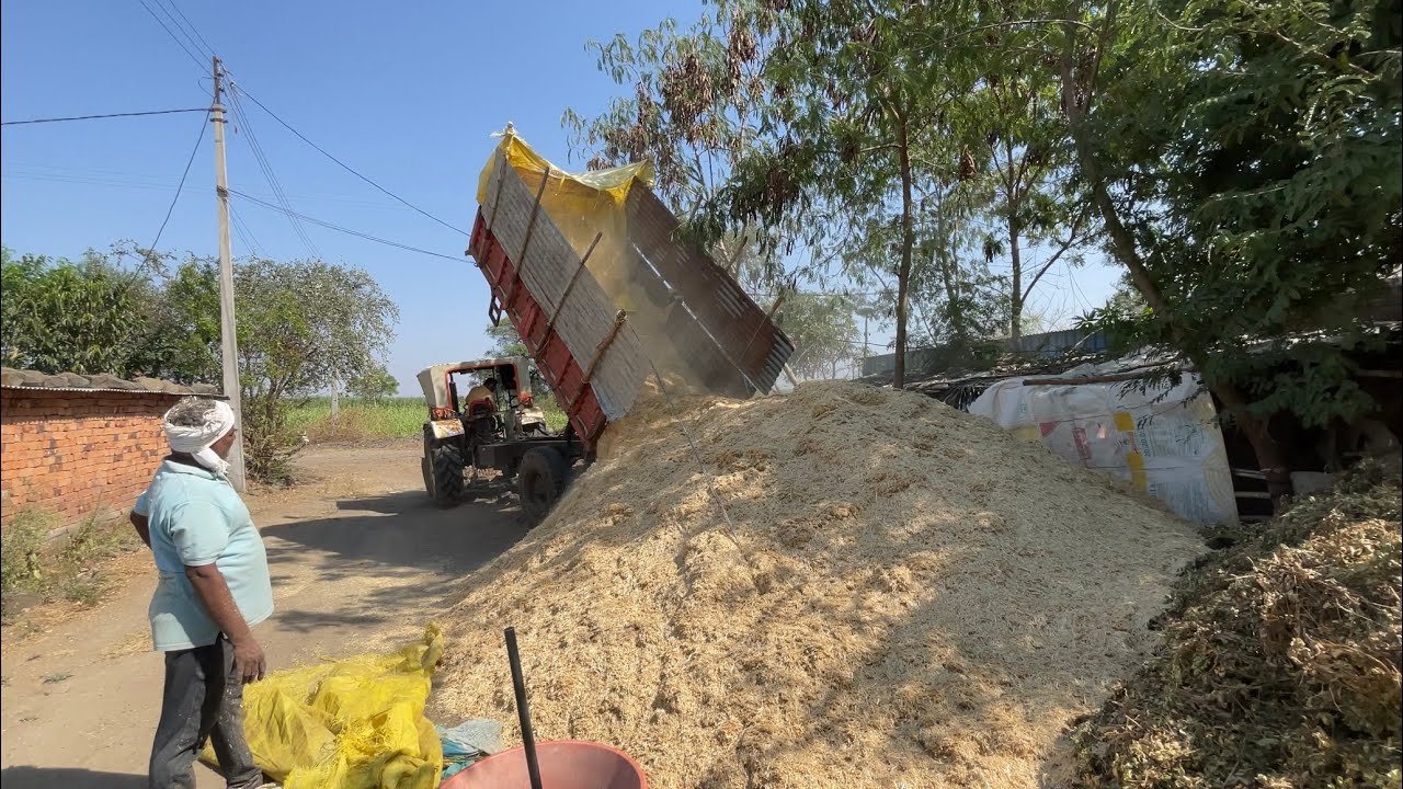 Aaj गेहूँ का भुसा इकट्ठा करते-करते हालत सच में खराब हो गई! 😵