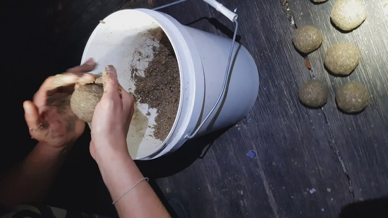 Fishing Burley For Snapper (how to make your own burley)