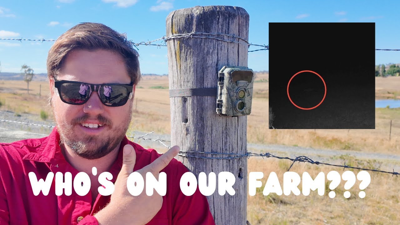 What Our Wildlife Cameras Caught This Week 👀 & Off Grid Solar Update | Ep 4