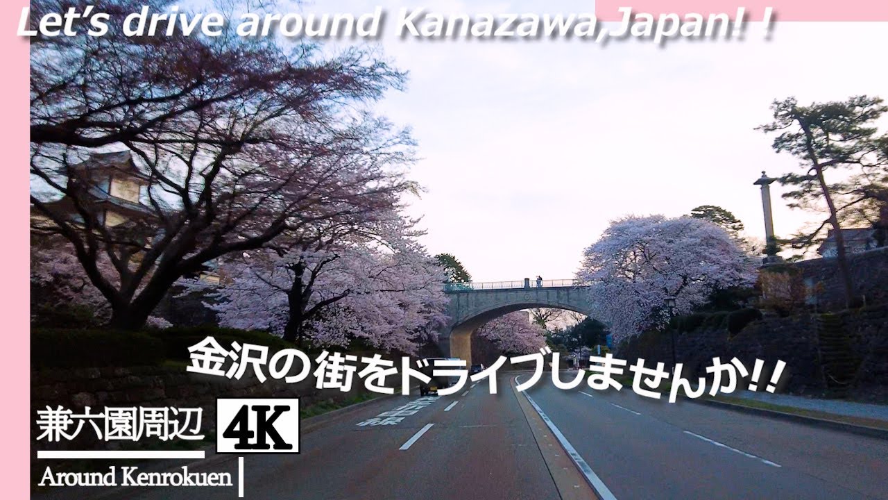 【石川県民ドライブ 4K】桜満開の兼六園周辺ドライブ【Drive 4K】Drive around Kenrokuen with cherry blossoms in full bloom
