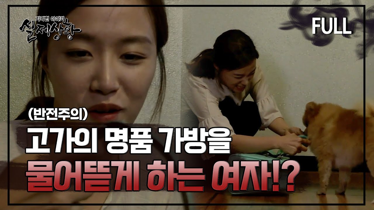 [실제상황] 고가의 명품 가방을 반려견에게 물어뜯게 하는 여자?! [full영상]