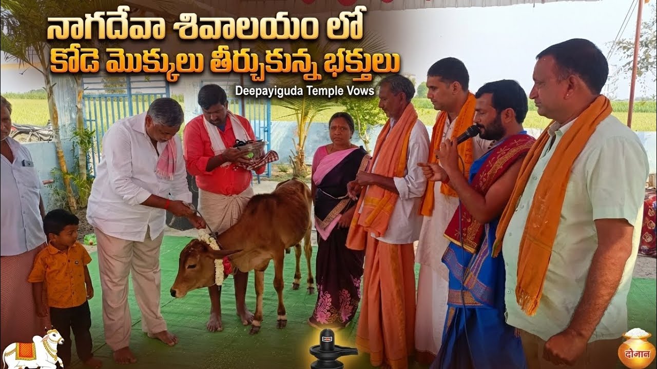 శివయ్యకు కోడెమోక్కులు తీర్చుకోవడం..
