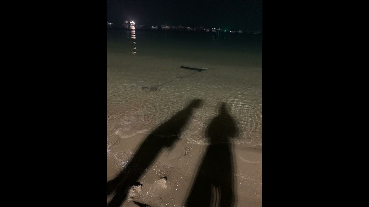 Juliet & Romeo - P$L [ cover by 83K ]