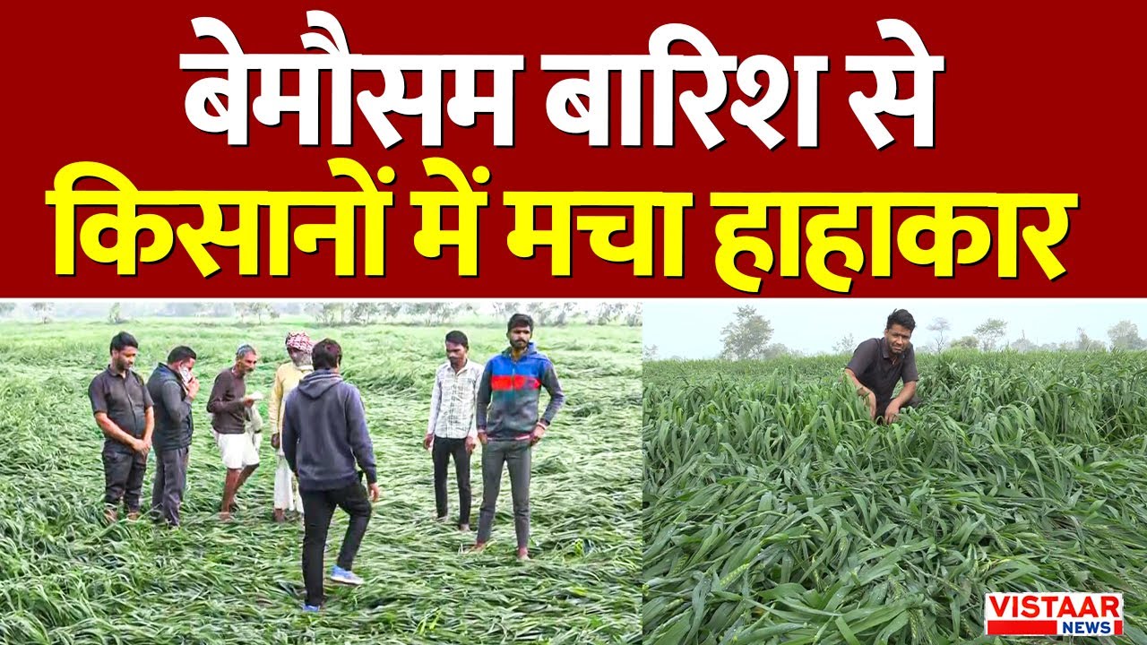 MP Hailstorm News : बेमौसम बारिश से किसानों में मचा हाहाकार, Alert पर प्रशासन | Breaking News